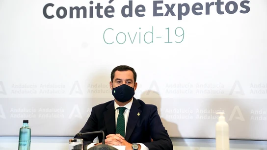 El presidente de la Junta de Andalucía, Juan Manuel Moreno, durante la reunión este miércoles con el Comité de Expertos El presidente de la Junta de Andalucía, Juan Manuel Moreno, durante la reunión este miércoles con el Comité de Expertos