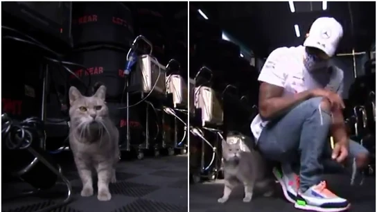 El 'gato de Imola' visita el garaje de Mercedes El 'gato de Imola' visita el garaje de Mercedes