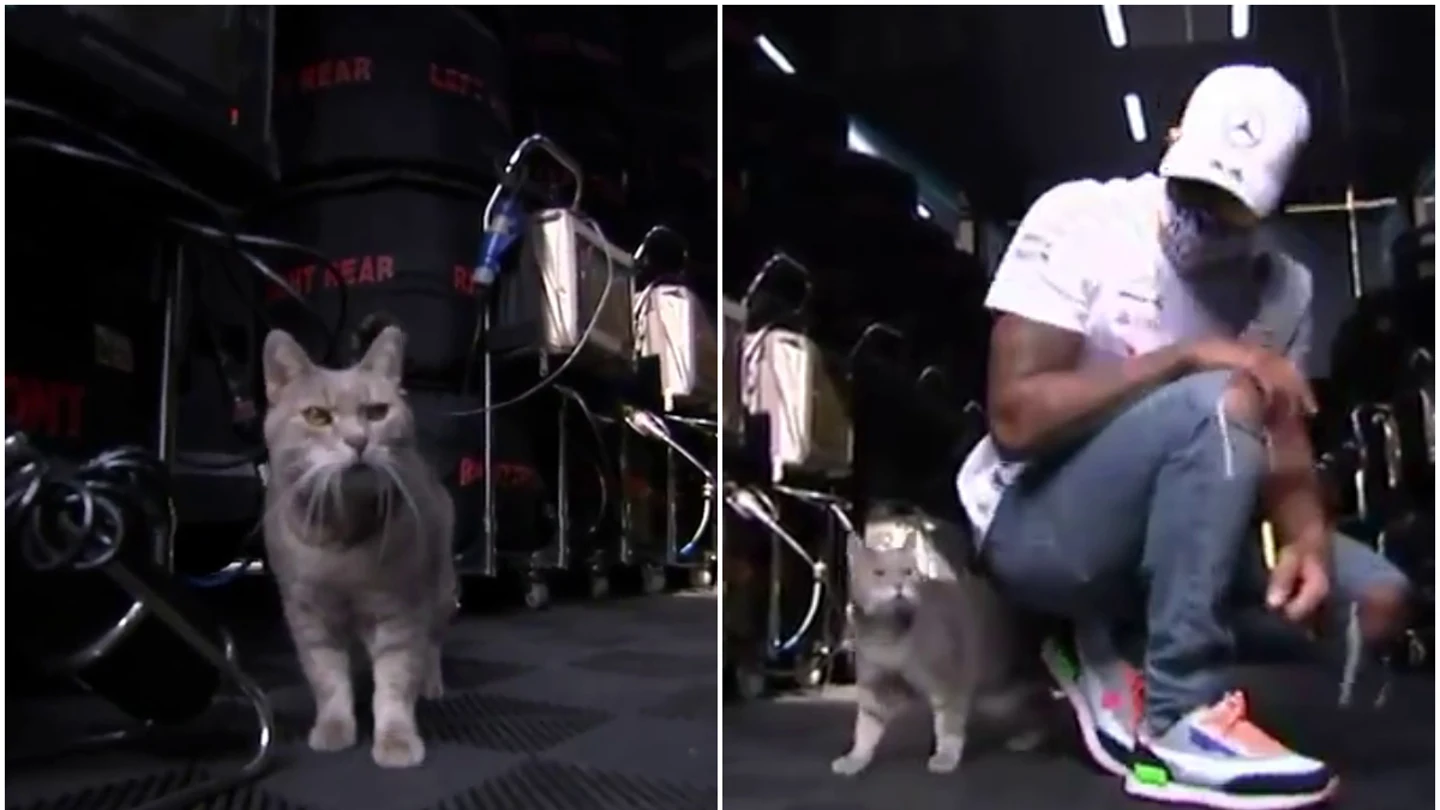 El 'gato de Imola' visita el garaje de Mercedes El 'gato de Imola' visita el garaje de Mercedes