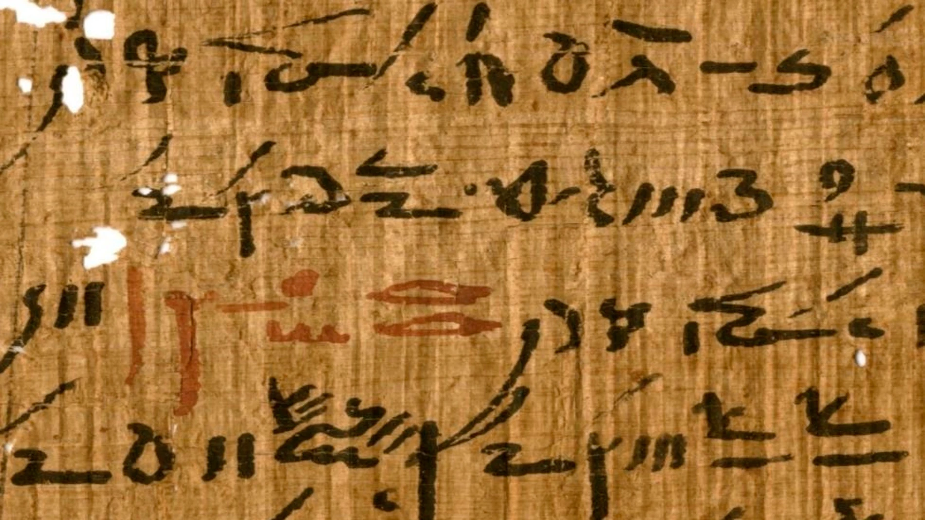Detalle de un tratado médico de la biblioteca del templo de Tebtunis