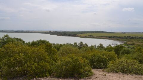 Laguna de Medina