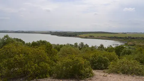 Laguna de Medina Laguna de Medina