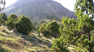 Volcán Tajumulco