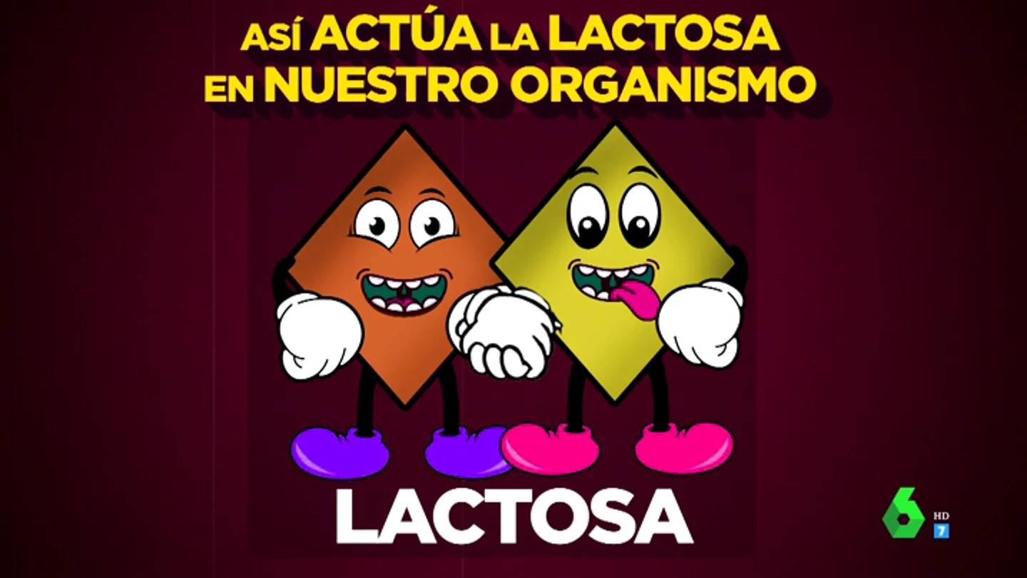 No, a la leche sin lactosa no le quitan la lactosa No, a la leche sin lactosa no le quitan la lactosa
