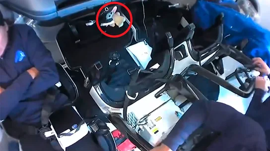 Yoda Bebé, el quinto pasajero del primer viaje conjunto entre la NASA y SpaceX Yoda SpaceX NASA