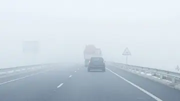 Niebla densa en la carretera