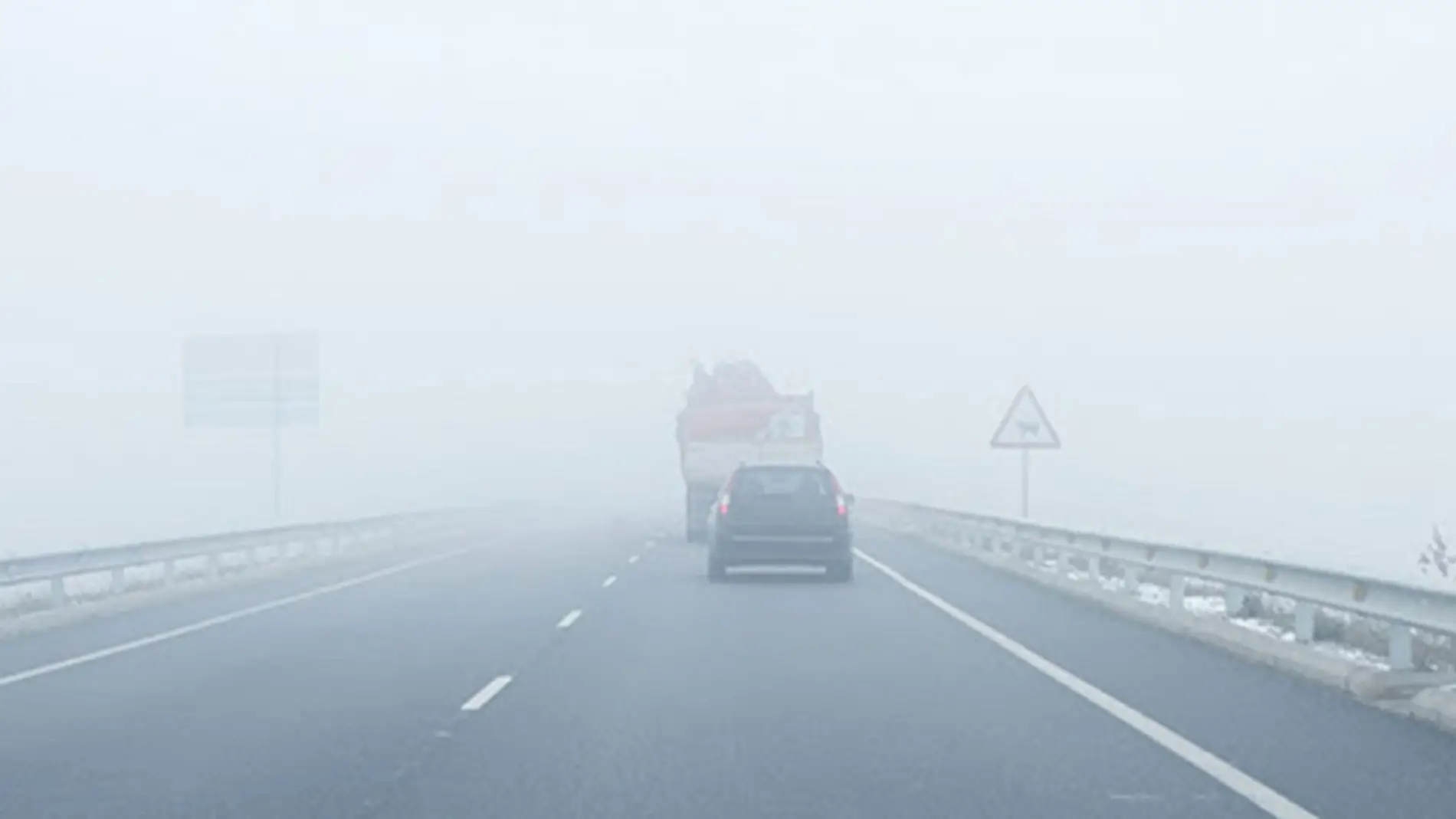 Niebla densa en la carretera