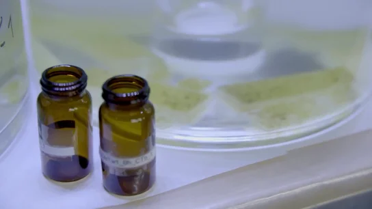 Ríos 'hormonados' o cómo una mala depuración de nuestras aguas hace que estén contaminadas por medicamentos Ríos 'hormonados' o cómo una mala depuración de nuestras aguas hace que estén contaminadas por medicamentos