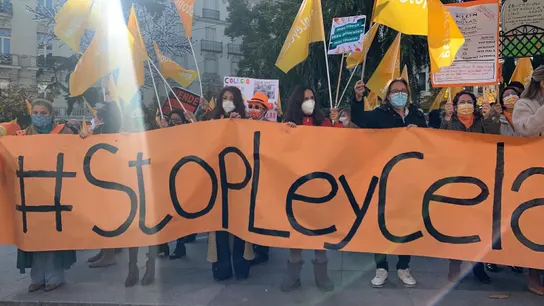 Protesta contra la Ley Celaá frente al Congreso Protesta contra la Ley Celaá frente al Congreso