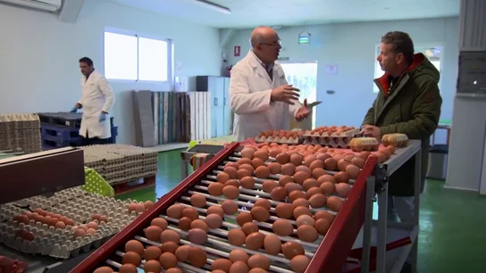 ¿Cómo puedo saber si estoy comprando huevos ecológicos? Te damos las claves ¿Cómo puedo saber si estoy comprando huevos ecológicos? Te damos las claves