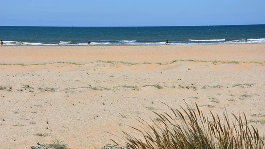 Playa de Punta Umbría- La Canaleta Playa de Punta Umbría- La Canaleta
