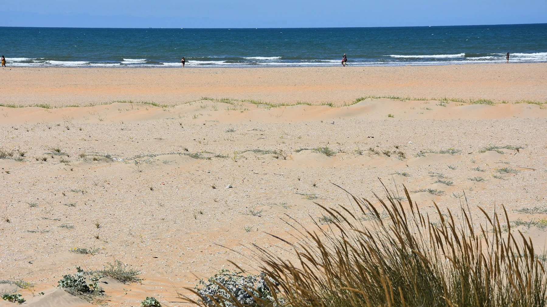 Playa de Punta Umbría- La Canaleta