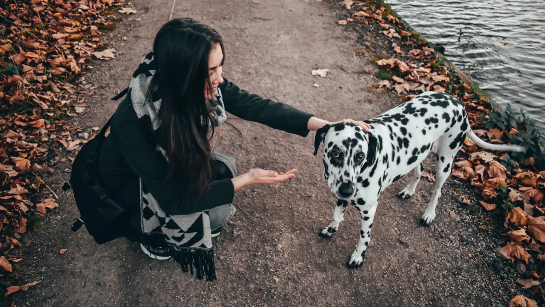 mujer con un perro