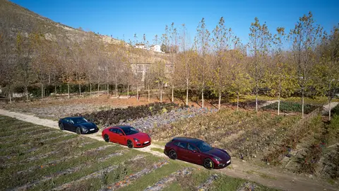 Porsche Panamera 2021 Porsche Panamera 2021