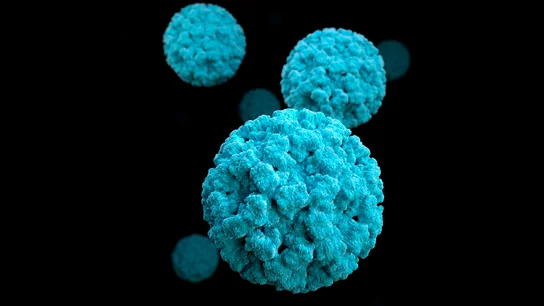 No, el norovirus no es el ‘nuevo coronavirus’: esto es todo lo que necesitas saber sobre el último virus que ha hecho saltar alarmas Norovirus, coronavirus
