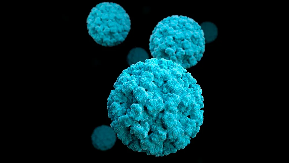 Norovirus, coronavirus