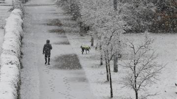 Una persona pasea junto a su perro por el paseo del río Arga