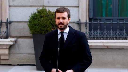 El presidente del PP, Pablo Casado, habla a las puertas del Congreso de los Diputados El presidente del PP, Pablo Casado, habla a las puertas del Congreso de los Diputados