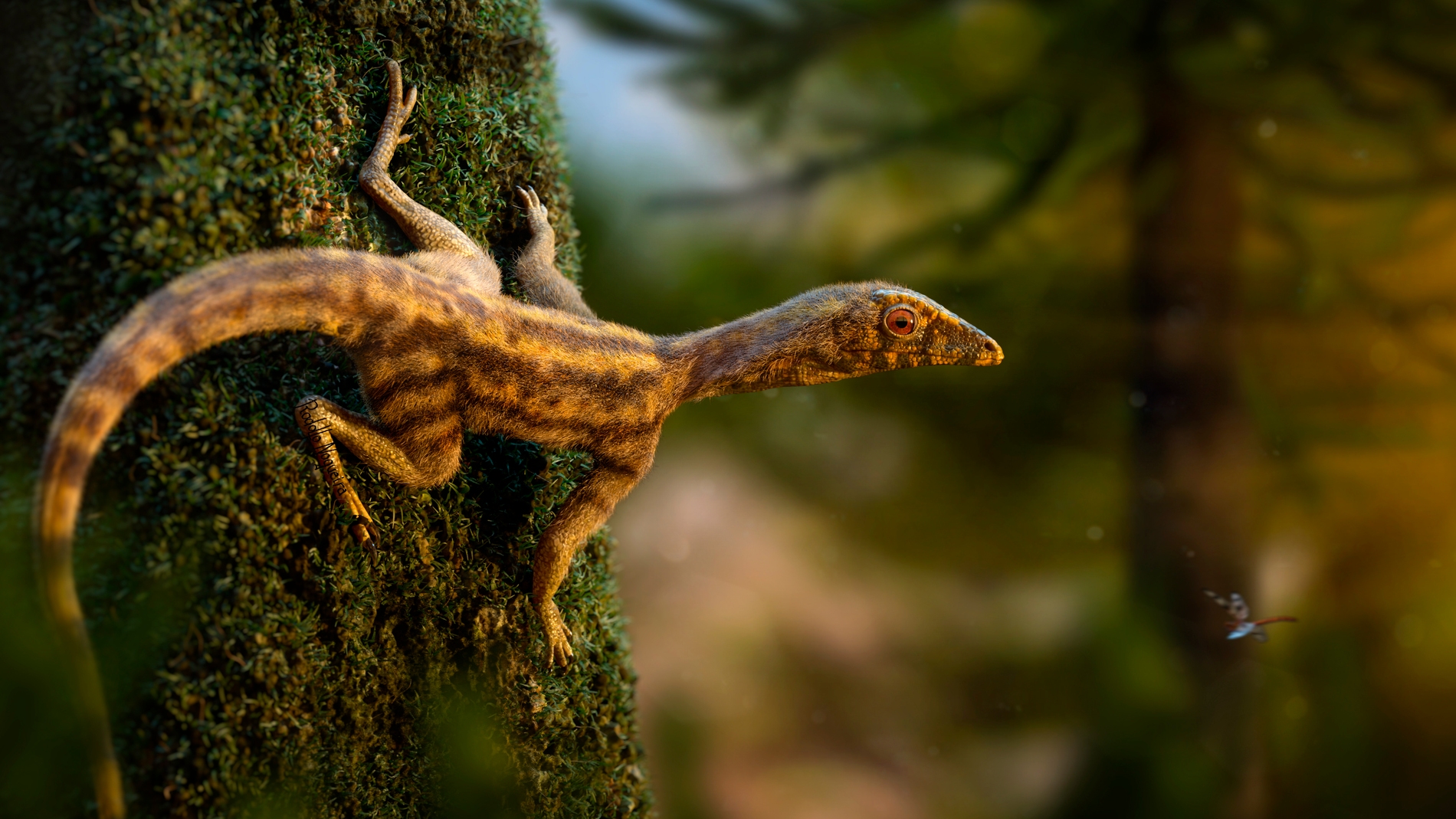 Descubren nuevas pistas sobre el enigmatico origen de los pterosaurios