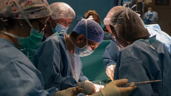 Equipo del Hospital Clínic de Barcelona que realizó el primer trasplante de útero en España en 2020 Equipo del Hospital Clínic de Barcelona que realizó el primer trasplante de útero en España en 2020
