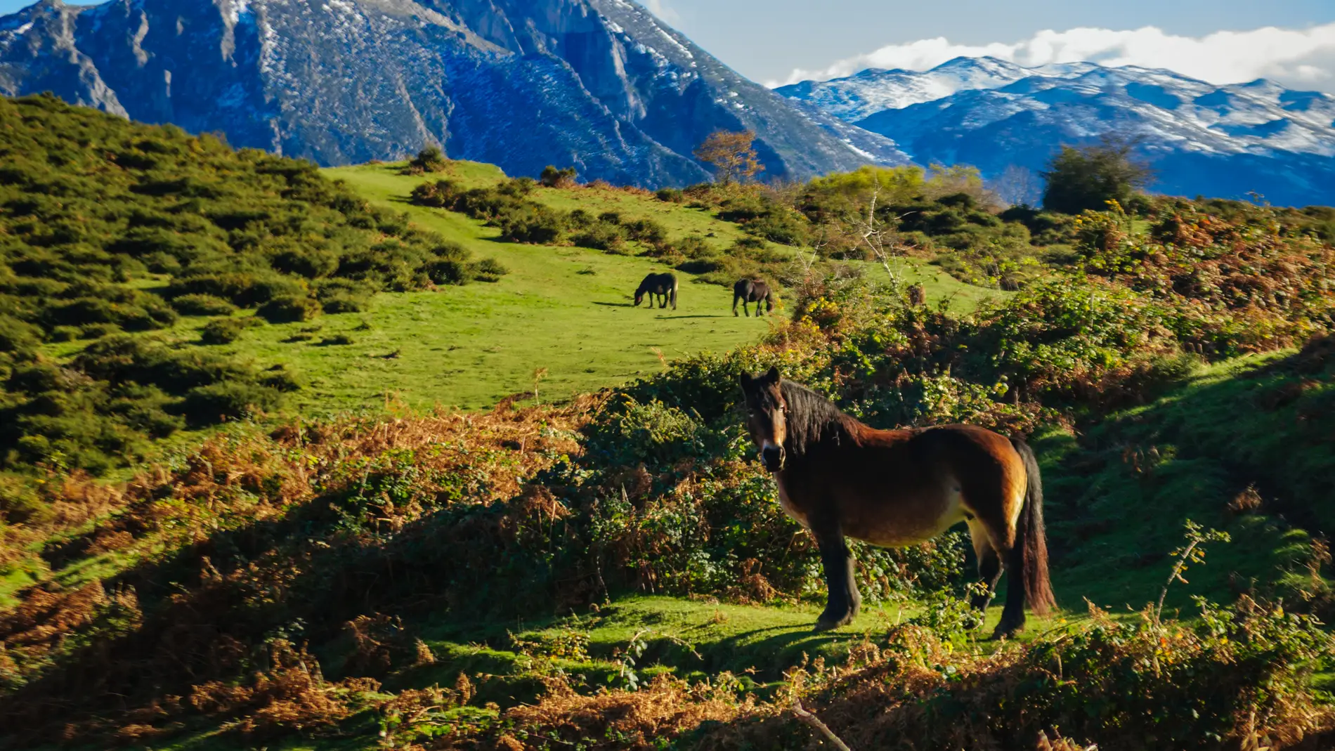 El reverdecimiento de la tierra se acerca a su limite