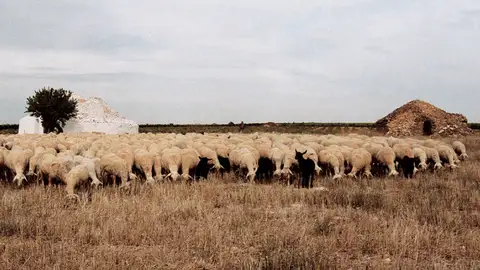 Bombos de Tomelloso Bombos de Tomelloso