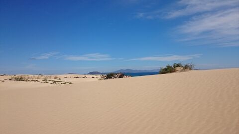 Dunas en La Oliva, Fuerteventura