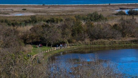 Aiguamolls de l'Empordà