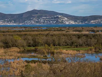 Aiguamolls de l'Empordà Aiguamolls de l'Empordà