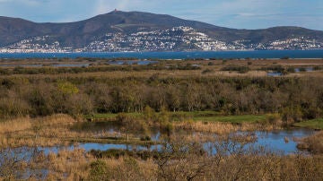 Aiguamolls de l'Empordà