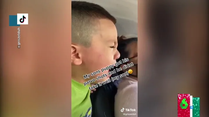 El llanto desconsolado de un niño cuando escucha ladrar a su perro mientras le vacunan