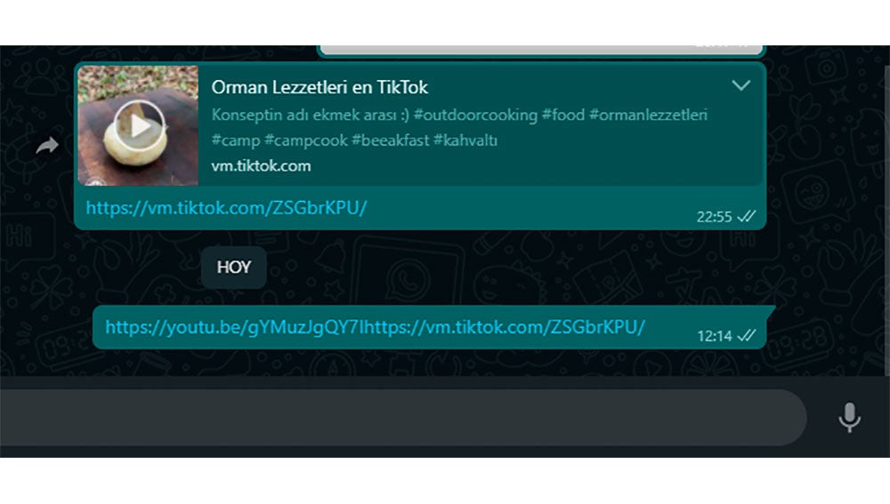 Mismo enlace de YouTube hace unos días y ahora