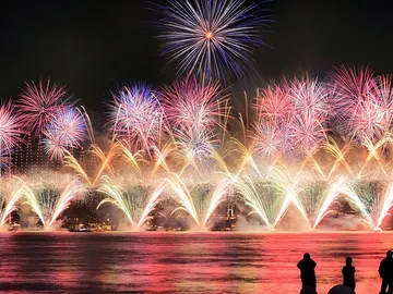 Fuegos artificiales Fuegos artificiales