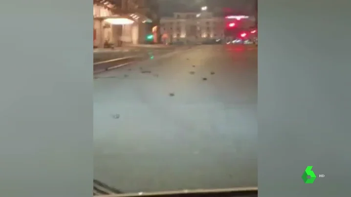 Pájaros muertos en Roma