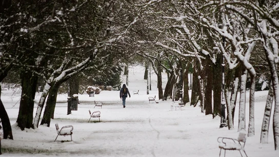 Una persona camina sobre la nieve en un parque en Vitoria Una persona camina sobre la nieve en un parque en Vitoria