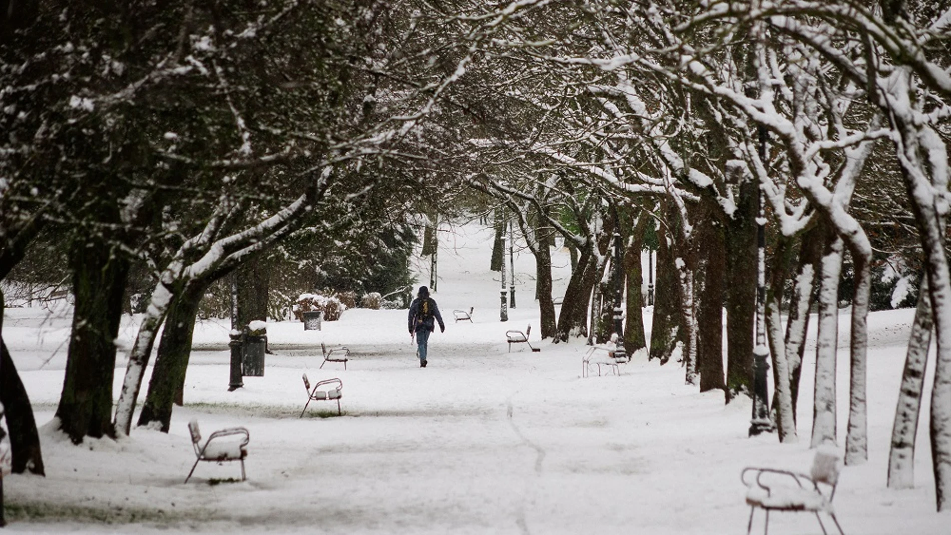 Una persona camina sobre la nieve en un parque en Vitoria