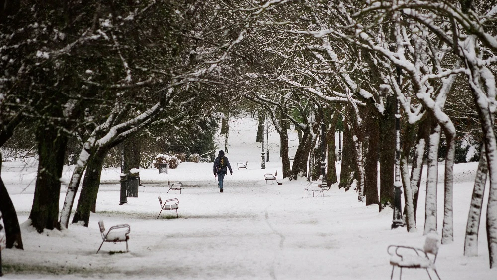 Una persona camina sobre la nieve en un parque en Vitoria