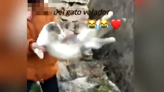 Imagen de una joven lanzando a una gata por un barranco en Granada Imagen de una joven lanzando a una gata por un barranco en Granada