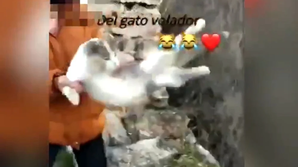 Imagen de una joven lanzando a una gata por un barranco en Granada