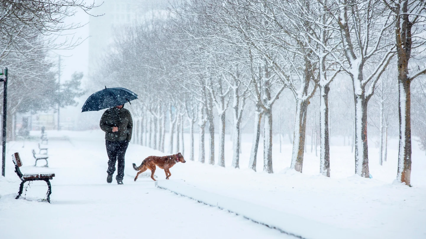 Un hombre pasea por la nieve en un parque del sur de Vitoria Un hombre pasea por la nieve en un parque del sur de Vitoria