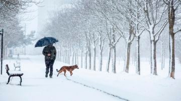 Un hombre pasea por la nieve en un parque del sur de Vitoria