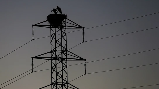 El precio de la luz se dispara El precio de la luz se dispara