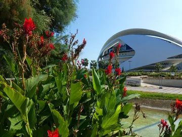 Jardín del Turia Jardín del Turia