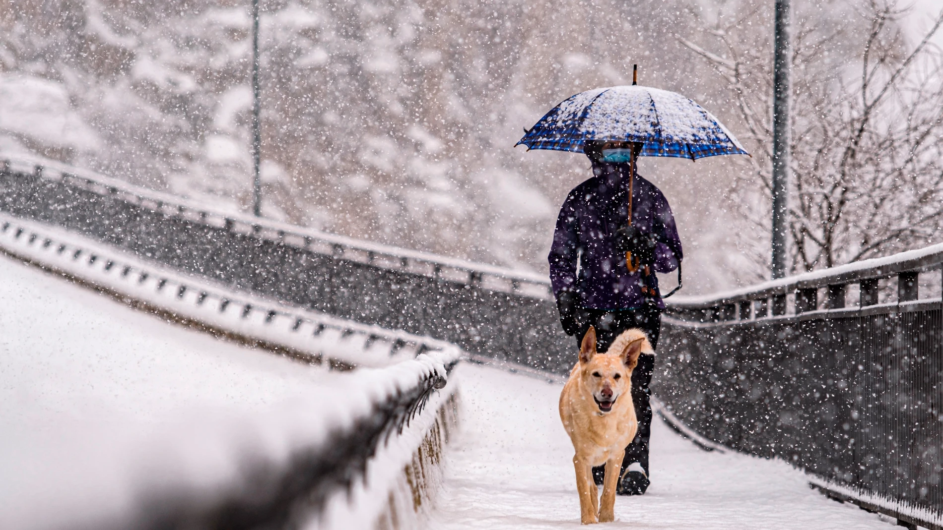Una persona pasea con su perro bajo la nieve