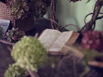 Viajes literarios Viajes literarios