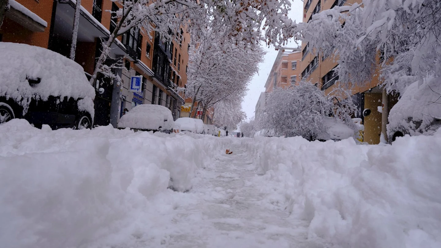 Árboles caídos por el peso de la nieve en el distrito de Arganzuela de Madrid Árboles caídos por el peso de la nieve en el distrito de Arganzuela de Madrid