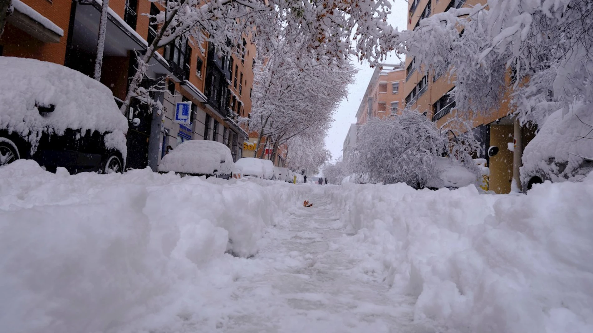 Árboles caídos por el peso de la nieve en el distrito de Arganzuela de Madrid