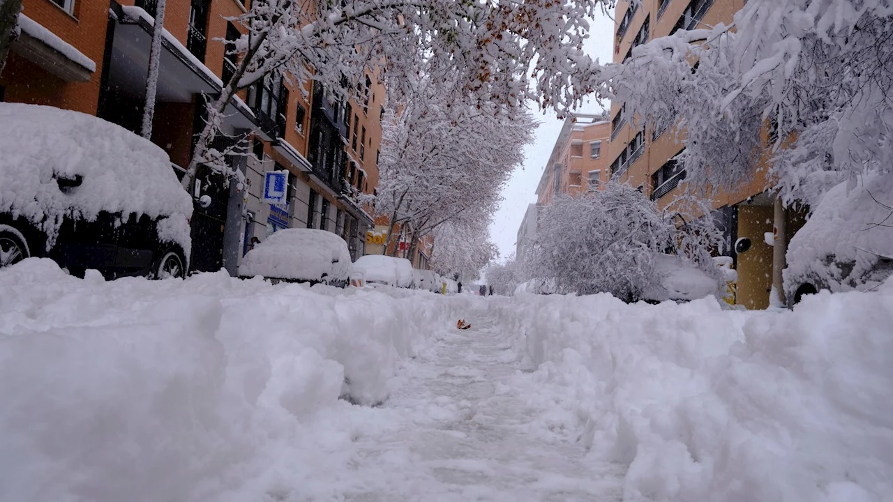 Árboles caídos por el peso de la nieve en el distrito de Arganzuela de Madrid