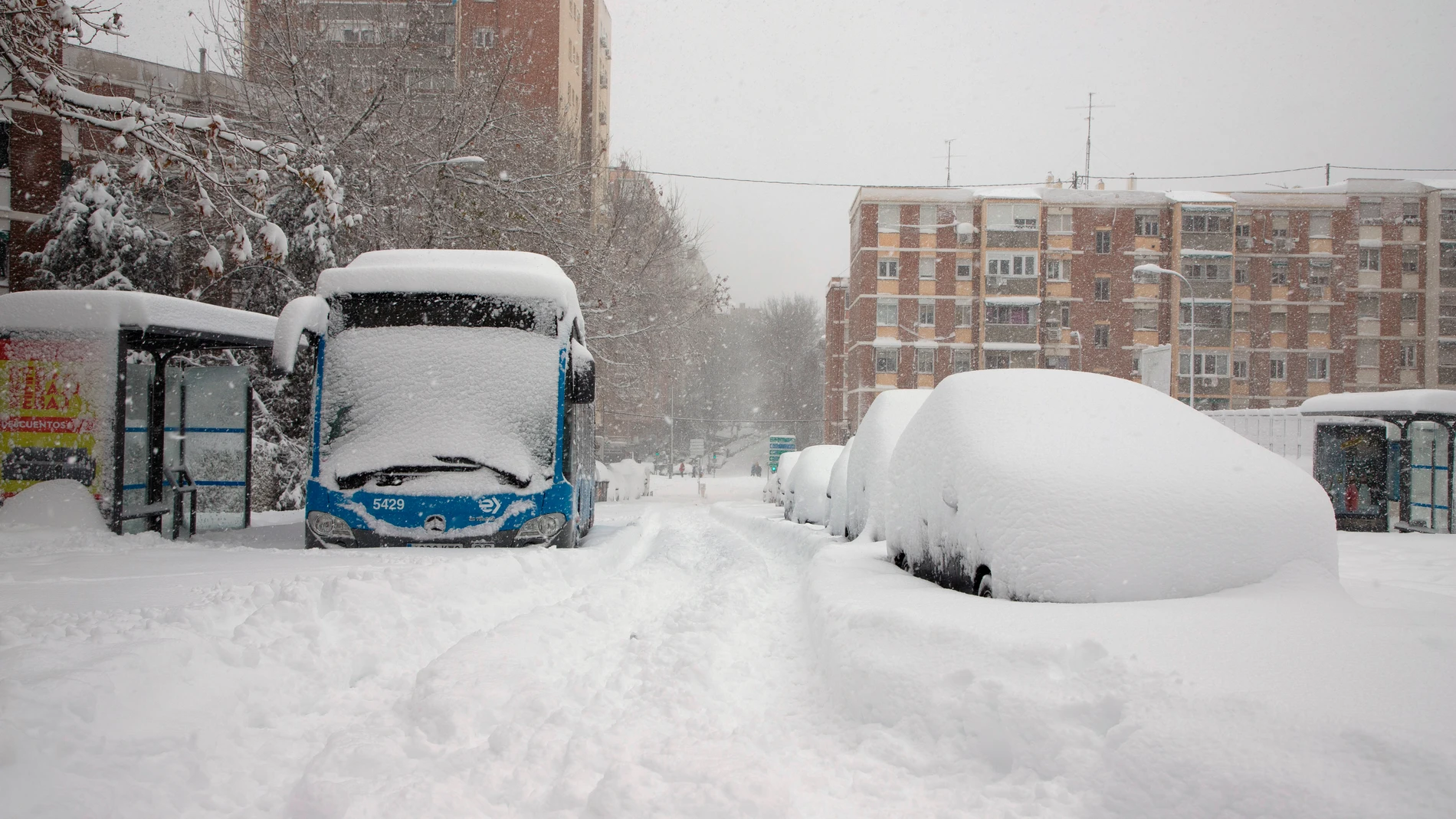 Autobuses y coches sepultados bajo la nieve en Madrid durante el temporal Filomena