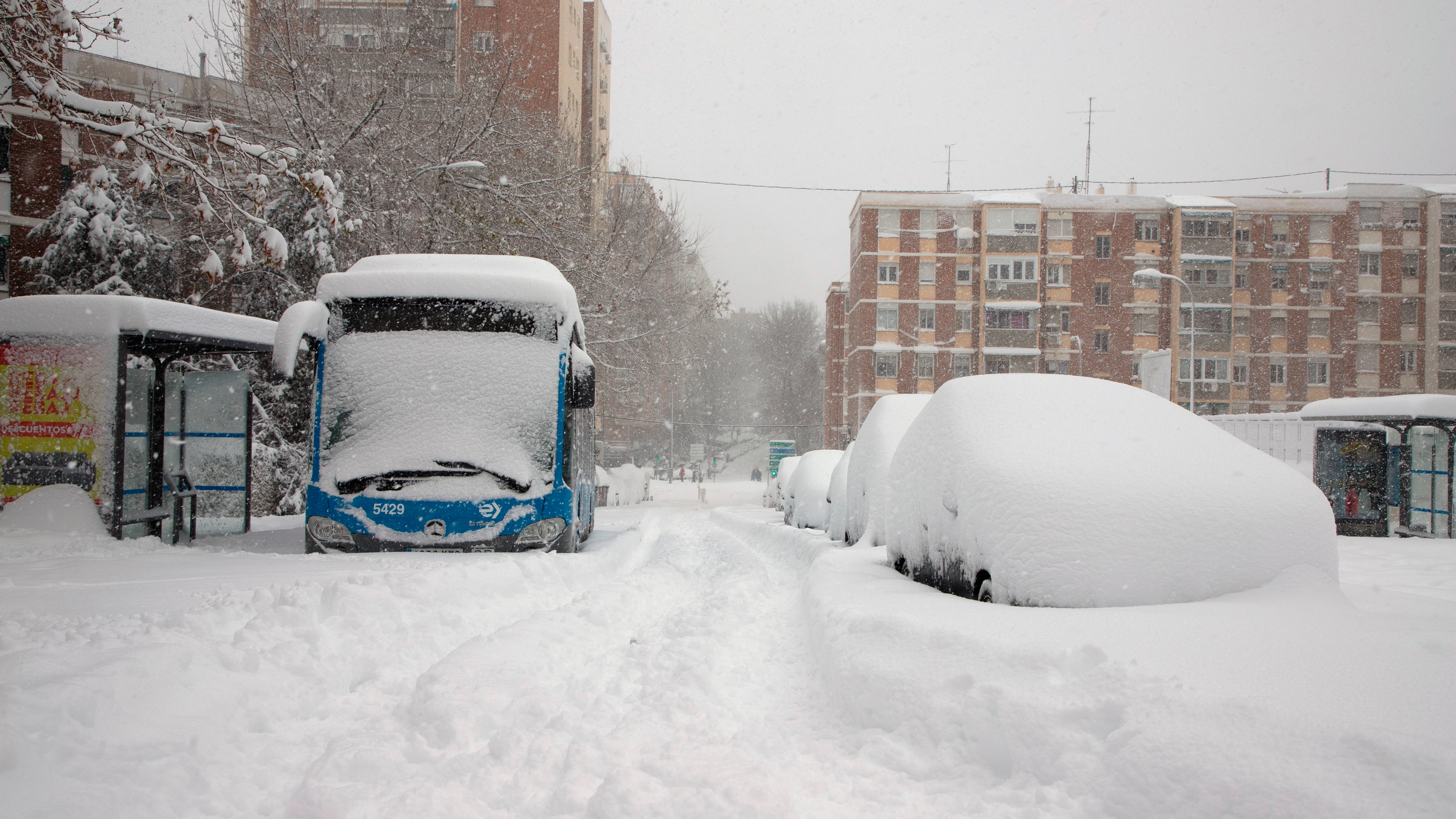 Autobuses y coches sepultados bajo la nieve en Madrid